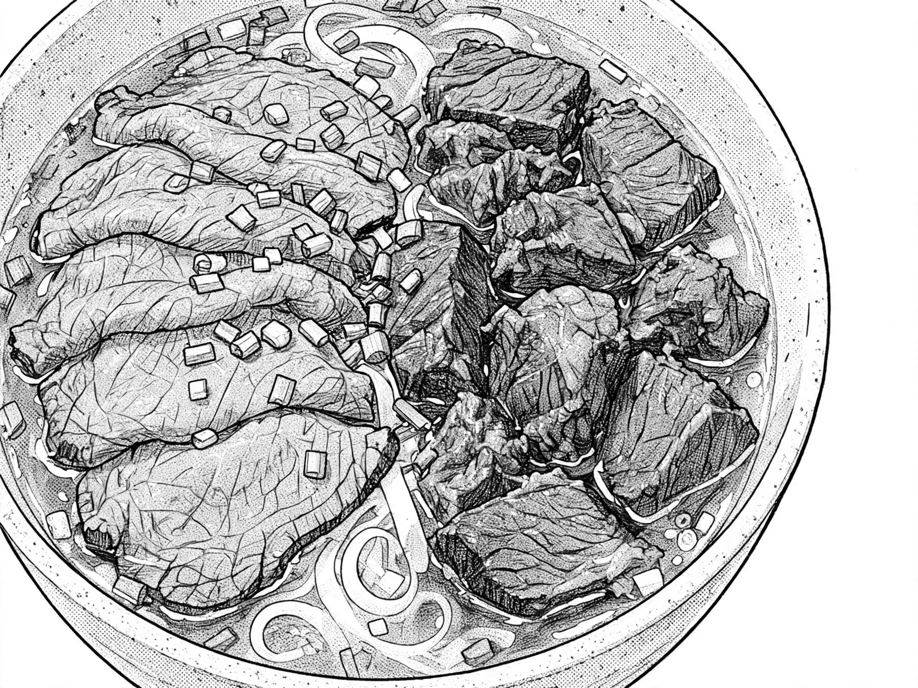 生牛肉牛腩河粉概念图黑白漫画版